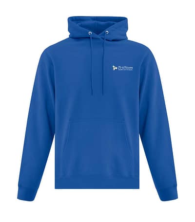 Regular Embroidered Hooded Sweat Shirt